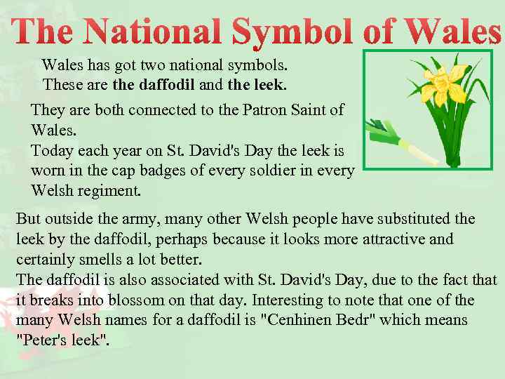 Wales has got two national symbols. These are the daffodil and the leek. They