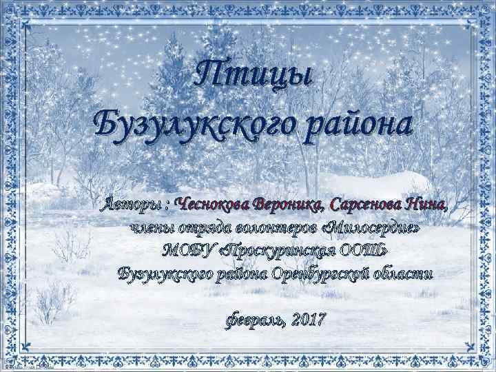 Птицы Бузулукского района Авторы : Чеснокова Вероника, Сарсенова Нина, члены отряда волонтеров «Милосердие» МОБУ