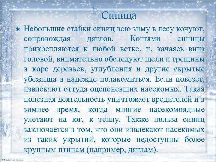 Синица Þ Небольшие стайки синиц всю зиму в лесу кочуют, сопровождая дятлов. Когтями синицы