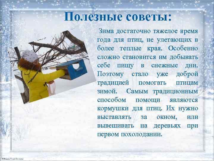 Полезные советы: Зима достаточно тяжелое время года для птиц, не улетающих в более теплые