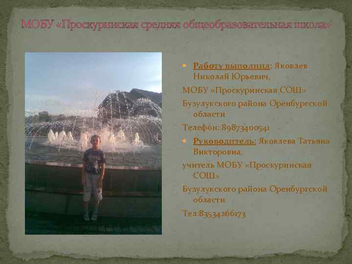 МОБУ «Проскуринская средняя общеобразовательная школа» Работу выполнил: Яковлев Николай Юрьевич, МОБУ «Проскуринская СОШ» Бузулукского