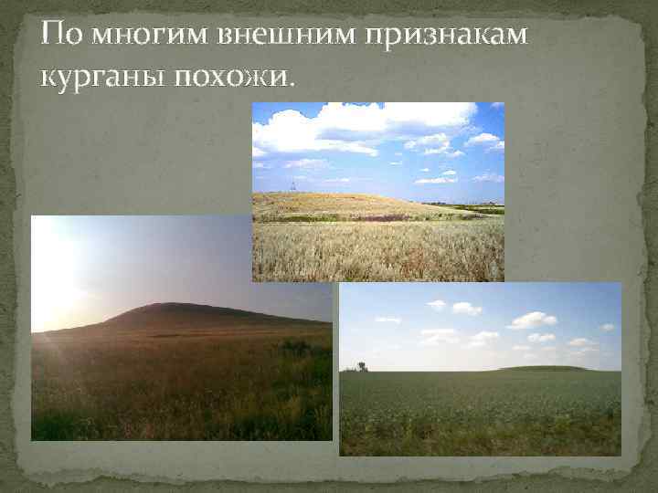 По многим внешним признакам курганы похожи. 