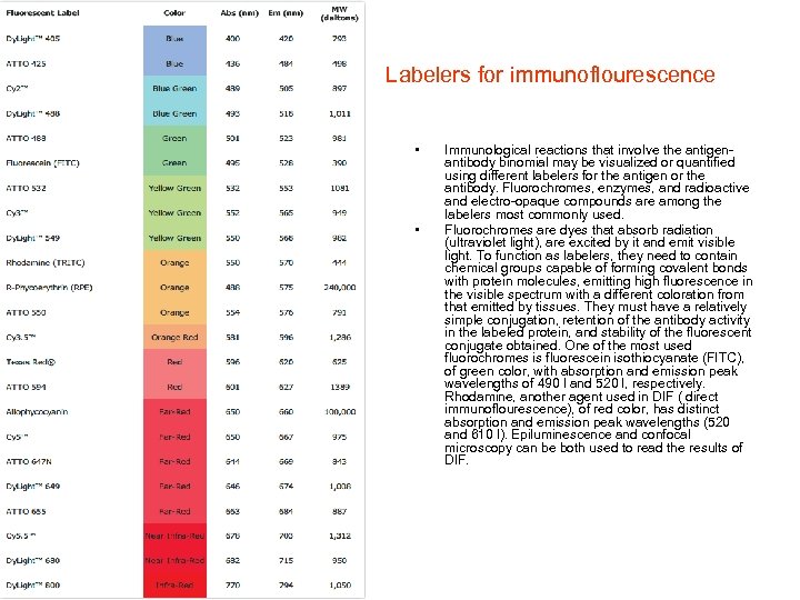  Labelers for immunoflourescence • • Immunological reactions that involve the antigenantibody binomial may