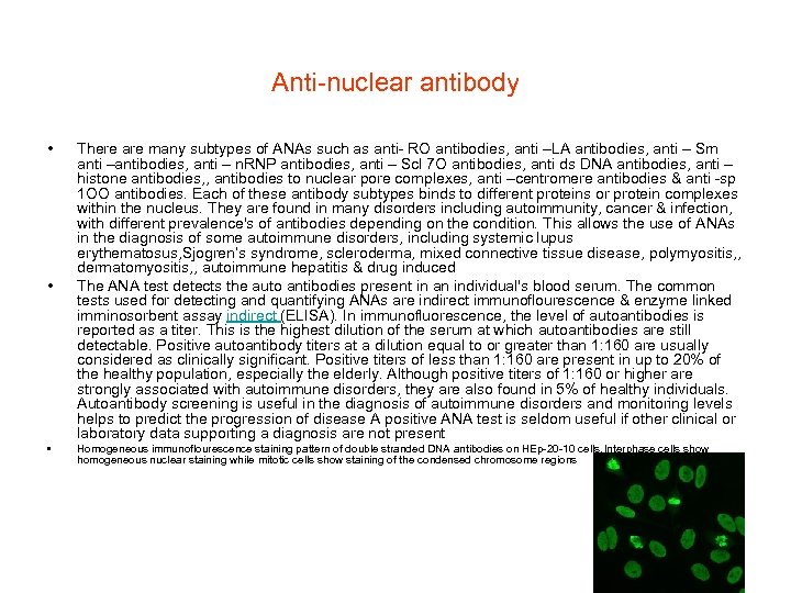 Anti-nuclear antibody • • • There are many subtypes of ANAs such as anti-