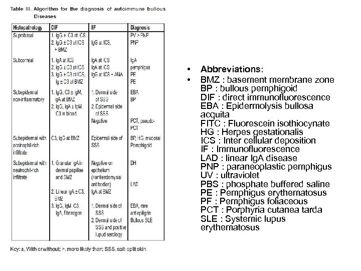  • • Abbreviations: BMZ : basement membrane zone BP : bullous pemphigoid DIF