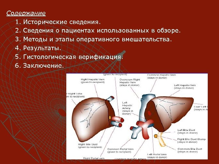 Содержание 1. Исторические сведения. 2. Сведения о пациентах использованных в обзоре. 3. Методы и