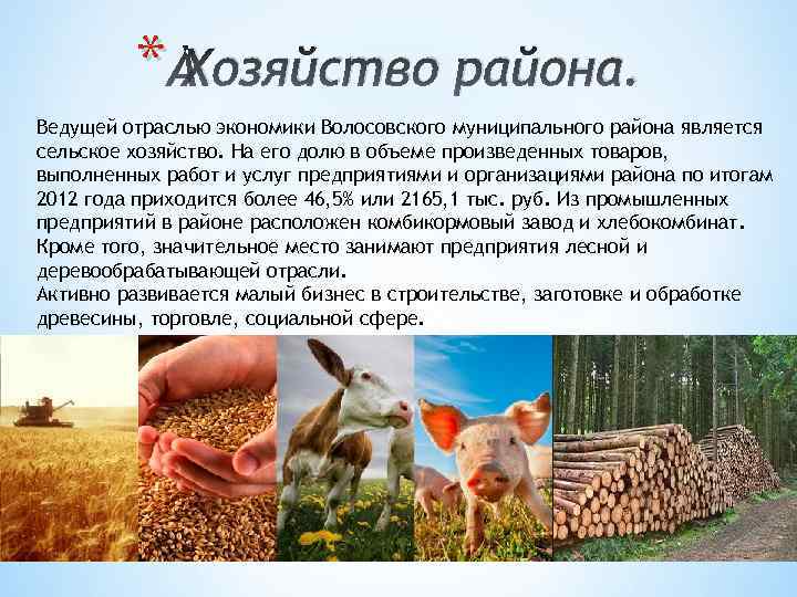 * Хозяйство района. Ведущей отраслью экономики Волосовского муниципального района является сельское хозяйство. На его