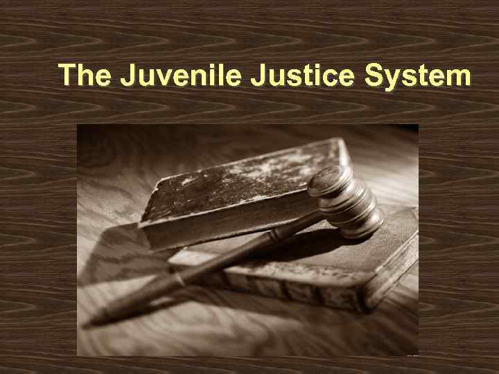 The Juvenile Justice System 