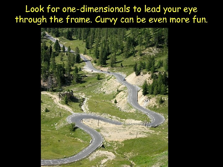 Look for one-dimensionals to lead your eye through the frame. Curvy can be even