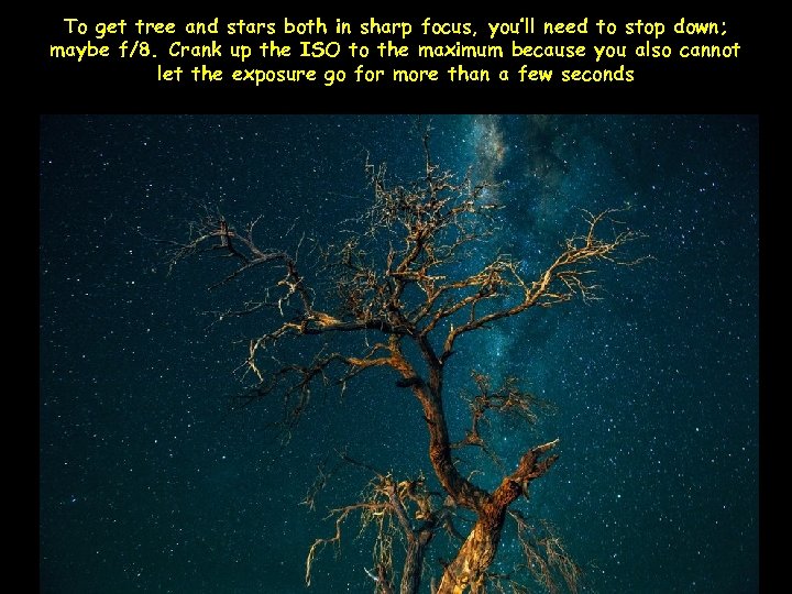 To get tree and stars both in sharp focus, you’ll need to stop down;