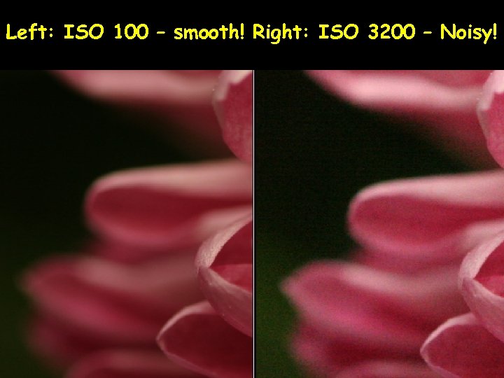 Left: ISO 100 – smooth! Right: ISO 3200 – Noisy! 
