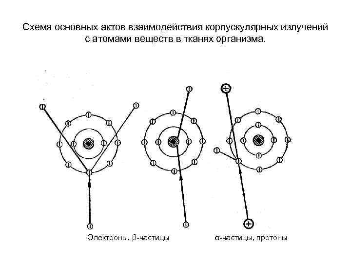 Схема основных актов взаимодействия корпускулярных излучений с атомами веществ в тканях организма. Электроны, β-частицы