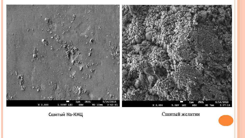 Сшитый Na-КМЦ Сшитый желатин 