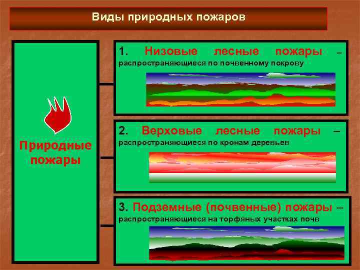 Виды природных пожаров 1. Низовые лесные пожары – распространяющиеся по почвенному покрову 2. Природные