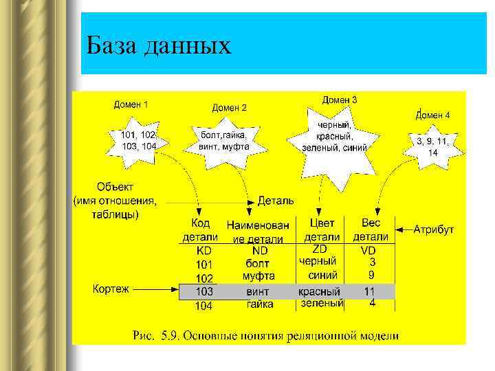 База данных 
