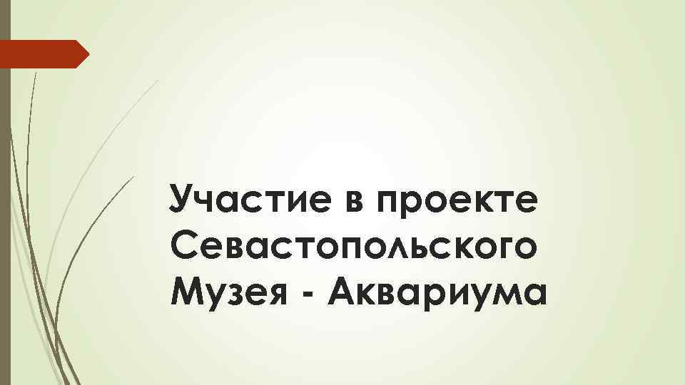 Участие в проекте Севастопольского Музея - Аквариума 