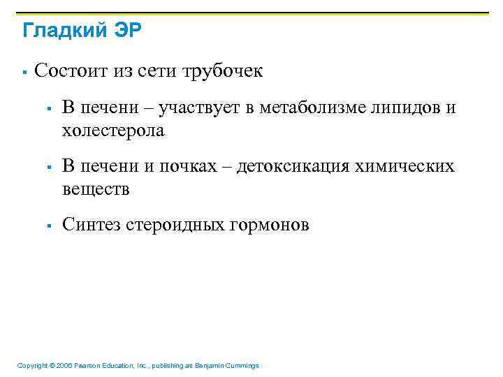 Гладкий ЭР § Состоит из сети трубочек § § § В печени – участвует