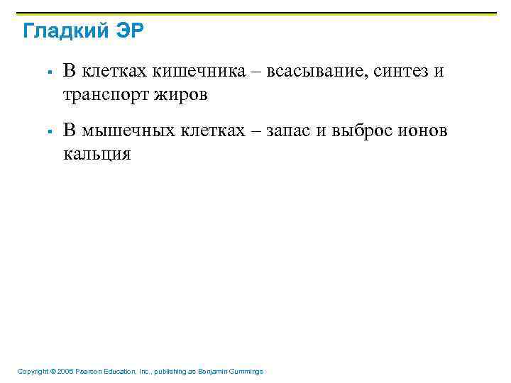 Гладкий ЭР § § В клетках кишечника – всасывание, синтез и транспорт жиров В
