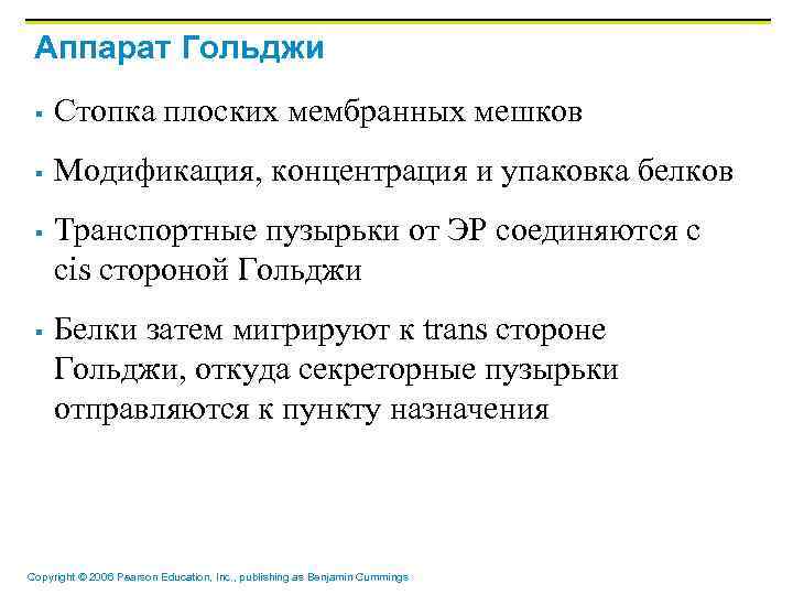 Аппарат Гольджи § Стопка плоских мембранных мешков § Модификация, концентрация и упаковка белков §