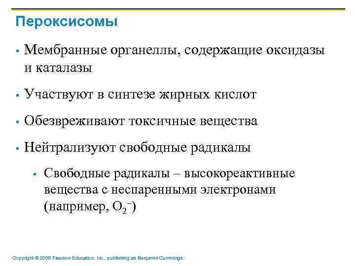Пероксисомы § Мембранные органеллы, содержащие оксидазы и каталазы § Участвуют в синтезе жирных кислот