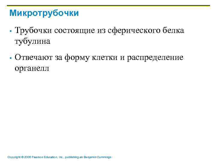 Микротрубочки § § Трубочки состоящие из сферического белка тубулина Отвечают за форму клетки и