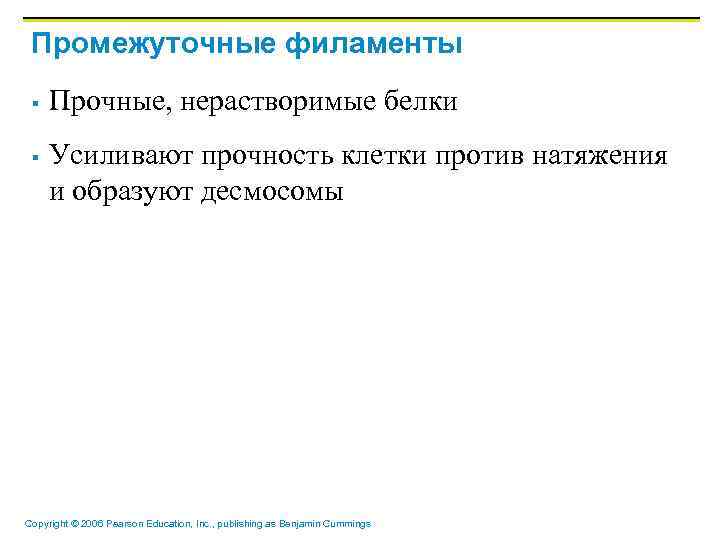 Промежуточные филаменты § § Прочные, нерастворимые белки Усиливают прочность клетки против натяжения и образуют