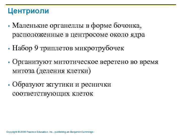 Центриоли § § Маленькие органеллы в форме бочонка, расположенные в центросоме около ядра Набор