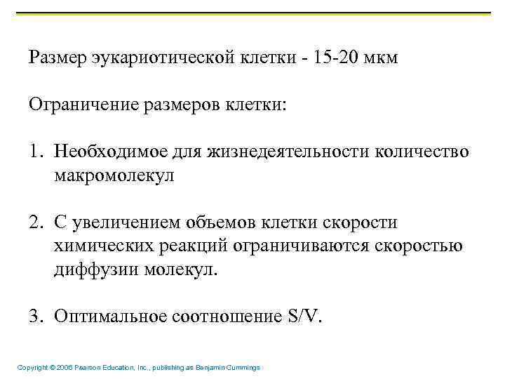 Размер эукариотической клетки - 15 -20 мкм Ограничение размеров клетки: 1. Необходимое для жизнедеятельности