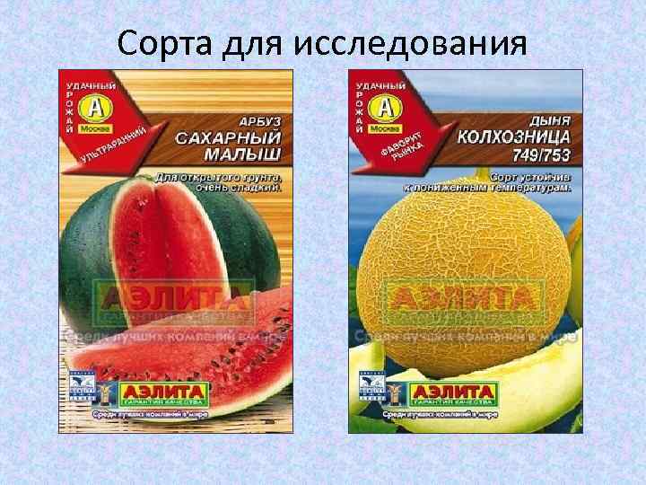 Сорта для исследования 