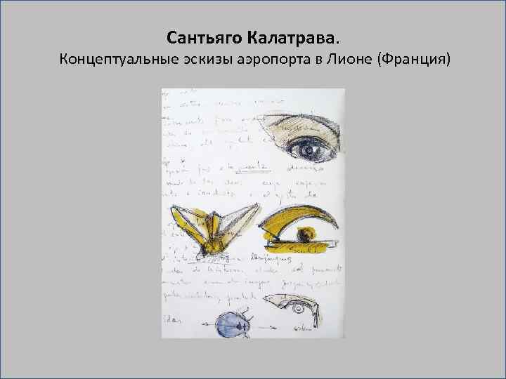 Сантьяго Калатрава. Концептуальные эскизы аэропорта в Лионе (Франция) 