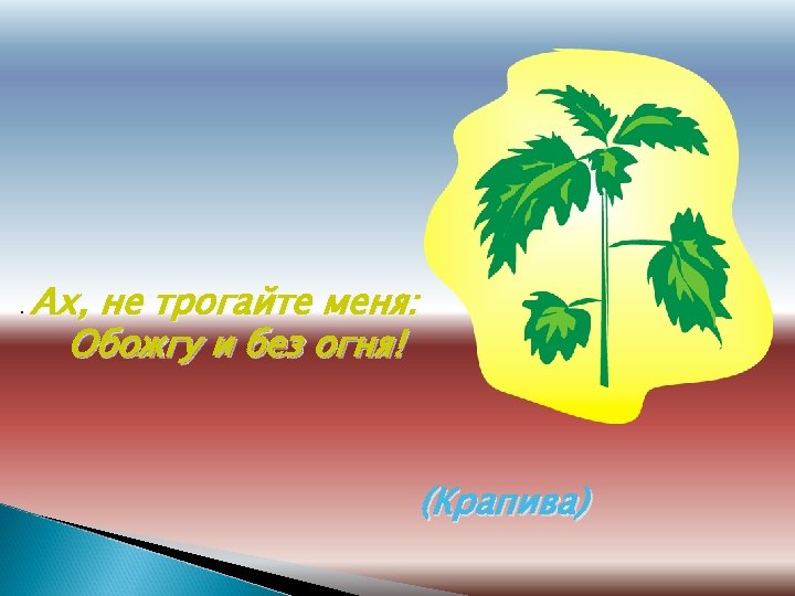 . Ах, не трогайте меня: Обожгу и без огня! (Крапива) 