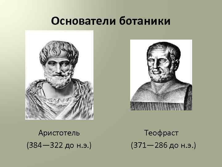 Основатели ботаники Аристотель Теофраст (384— 322 до н. э. ) (371— 286 до н.