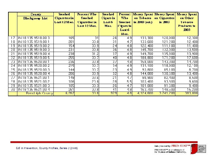 GIS in Prevention, County Profiles, Series 2 (2005) 85 