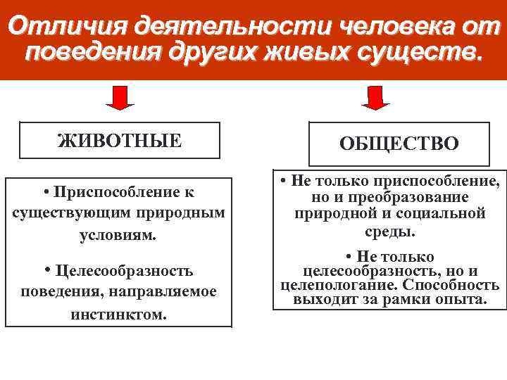 Отличия деятельности человека от поведения других живых существ. ЖИВОТНЫЕ • Приспособление к существующим природным