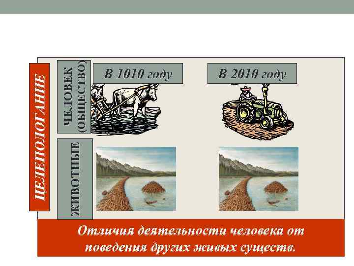 ЖИВОТНЫЕ (ОБЩЕСТВО) ЧЕЛОВЕК ЦЕЛЕПОЛОГАНИЕ В 1010 году В 2010 году Отличия деятельности человека от