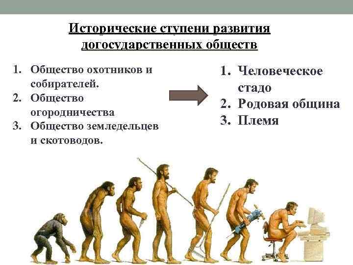 Исторические ступени развития догосударственных обществ 1. Общество охотников и собирателей. 2. Общество огородничества 3.