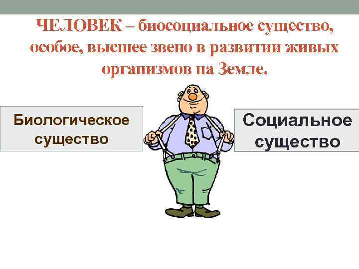 ЧЕЛОВЕК – биосоциальное существо, особое, высшее звено в развитии живых организмов на Земле. Биологическое