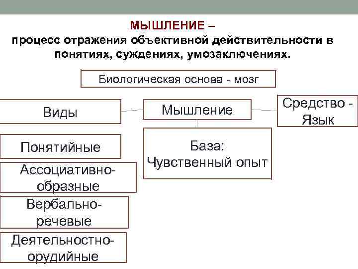 МЫШЛЕНИЕ – процесс отражения объективной действительности в понятиях, суждениях, умозаключениях. Биологическая основа - мозг