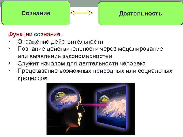 Сознание Деятельность Функции сознания: • Отражение действительности • Познание действительности через моделирование или выявление