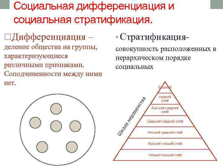 Разделение общества на группы проект 6 класс