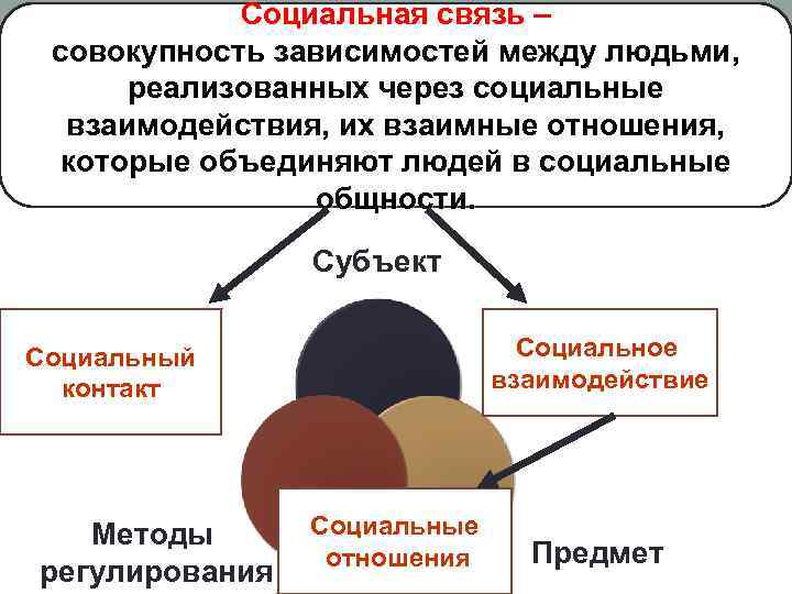Социальная связь – совокупность зависимостей между людьми, реализованных через социальные взаимодействия, их взаимные отношения,