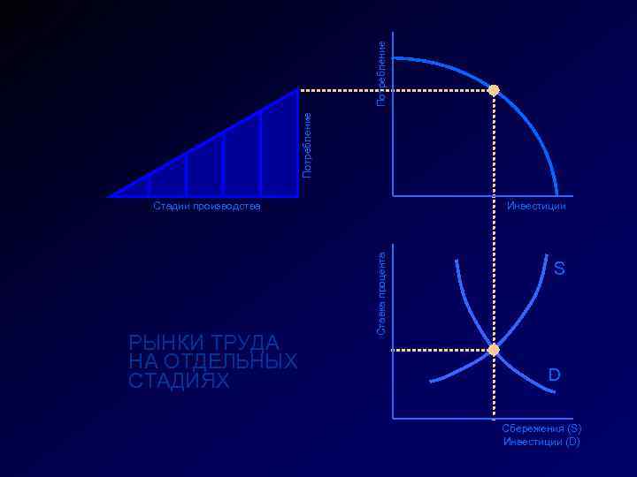 Потребление РЫНКИ ТРУДА НА ОТДЕЛЬНЫХ СТАДИЯХ Инвестиции Ставка процента Стадии производства S D Сбережения