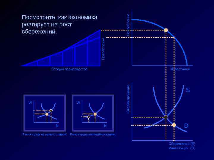 Потребление Посмотрите, как экономика реагирует на рост сбережений. W Инвестиции Ставка процента Стадии производства