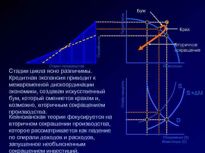 Потребление Бум Вторичное сокращение Инвестиции Ставка процента Стадии производства Стадии цикла ясно различимы. Кредитная