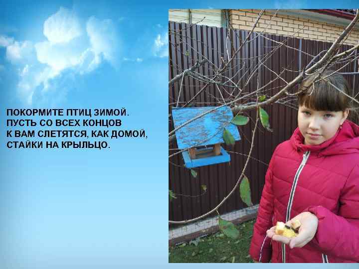 ПОКОРМИТЕ ПТИЦ ЗИМОЙ. ПУСТЬ СО ВСЕХ КОНЦОВ К ВАМ СЛЕТЯТСЯ, КАК ДОМОЙ, СТАЙКИ НА