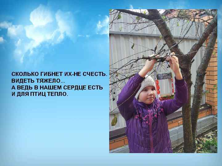 СКОЛЬКО ГИБНЕТ ИХ-НЕ СЧЕСТЬ. ВИДЕТЬ ТЯЖЕЛО. . . А ВЕДЬ В НАШЕМ СЕРДЦЕ ЕСТЬ