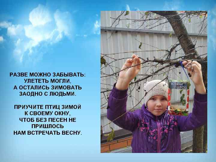 РАЗВЕ МОЖНО ЗАБЫВАТЬ: УЛЕТЕТЬ МОГЛИ, А ОСТАЛИСЬ ЗИМОВАТЬ ЗАОДНО С ЛЮДЬМИ. ПРИУЧИТЕ ПТИЦ ЗИМОЙ