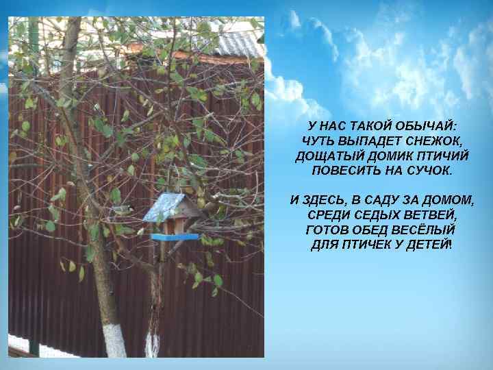 У НАС ТАКОЙ ОБЫЧАЙ: ЧУТЬ ВЫПАДЕТ СНЕЖОК, ДОЩАТЫЙ ДОМИК ПТИЧИЙ ПОВЕСИТЬ НА СУЧОК. И