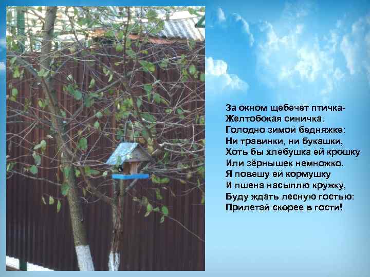 За окном щебечет птичка. Желтобокая синичка. Голодно зимой бедняжке: Ни травинки, ни букашки, Хоть