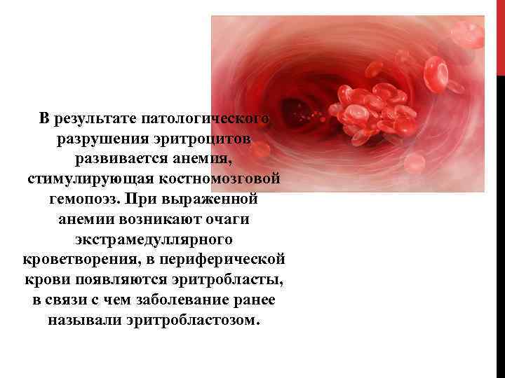 В результате патологического разрушения эритроцитов развивается анемия, стимулирующая костномозговой гемопоэз. При выраженной анемии возникают